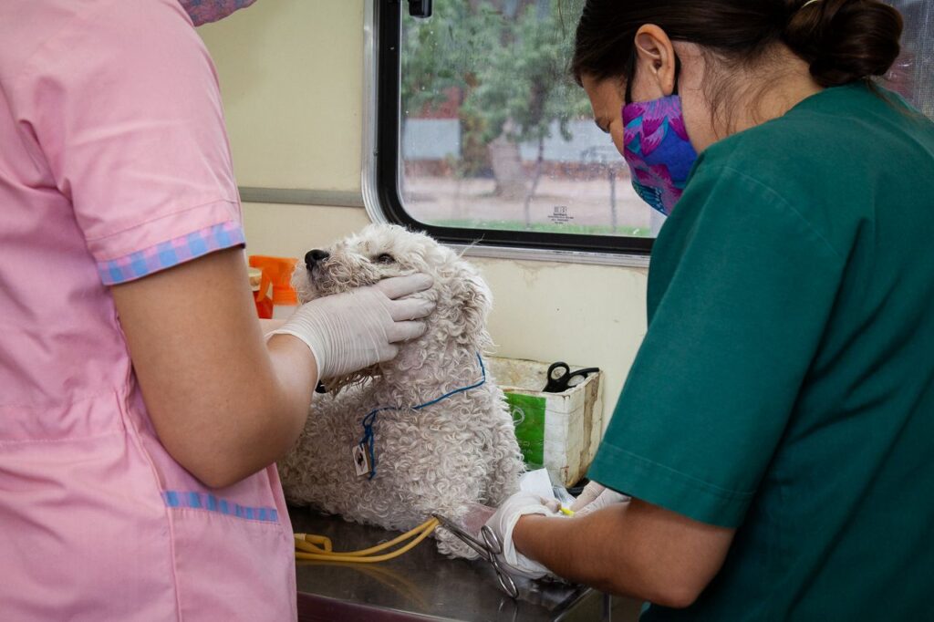 Veterinaria Municipal Las Heras